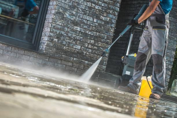 Best Pre-Holiday Cleaning  in Zapata, TX