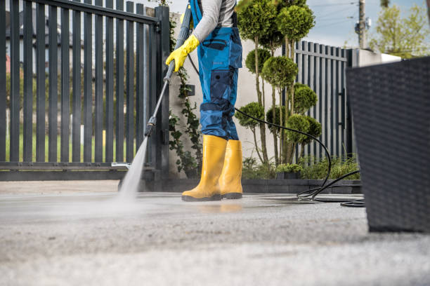 Best Fence Cleaning  in Zapata, TX